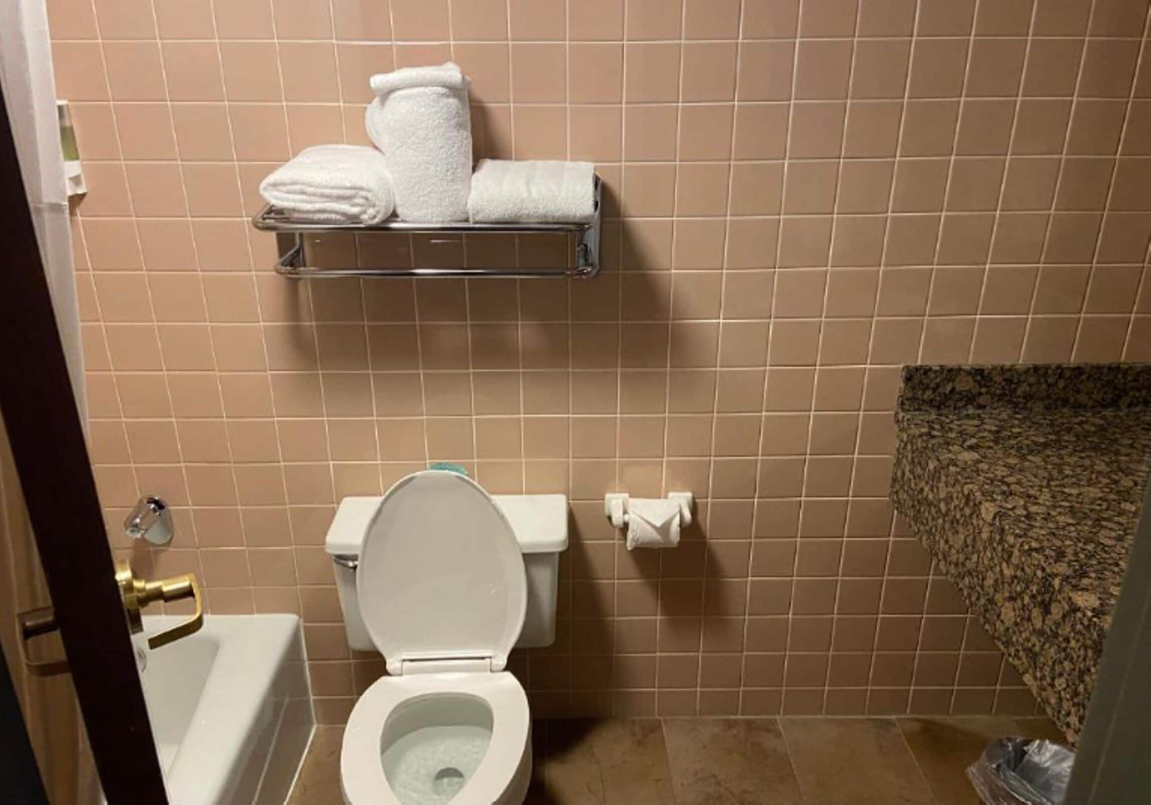 standard room | bathroom | combined shower/bathtub, free toiletries, hair dryer, towels