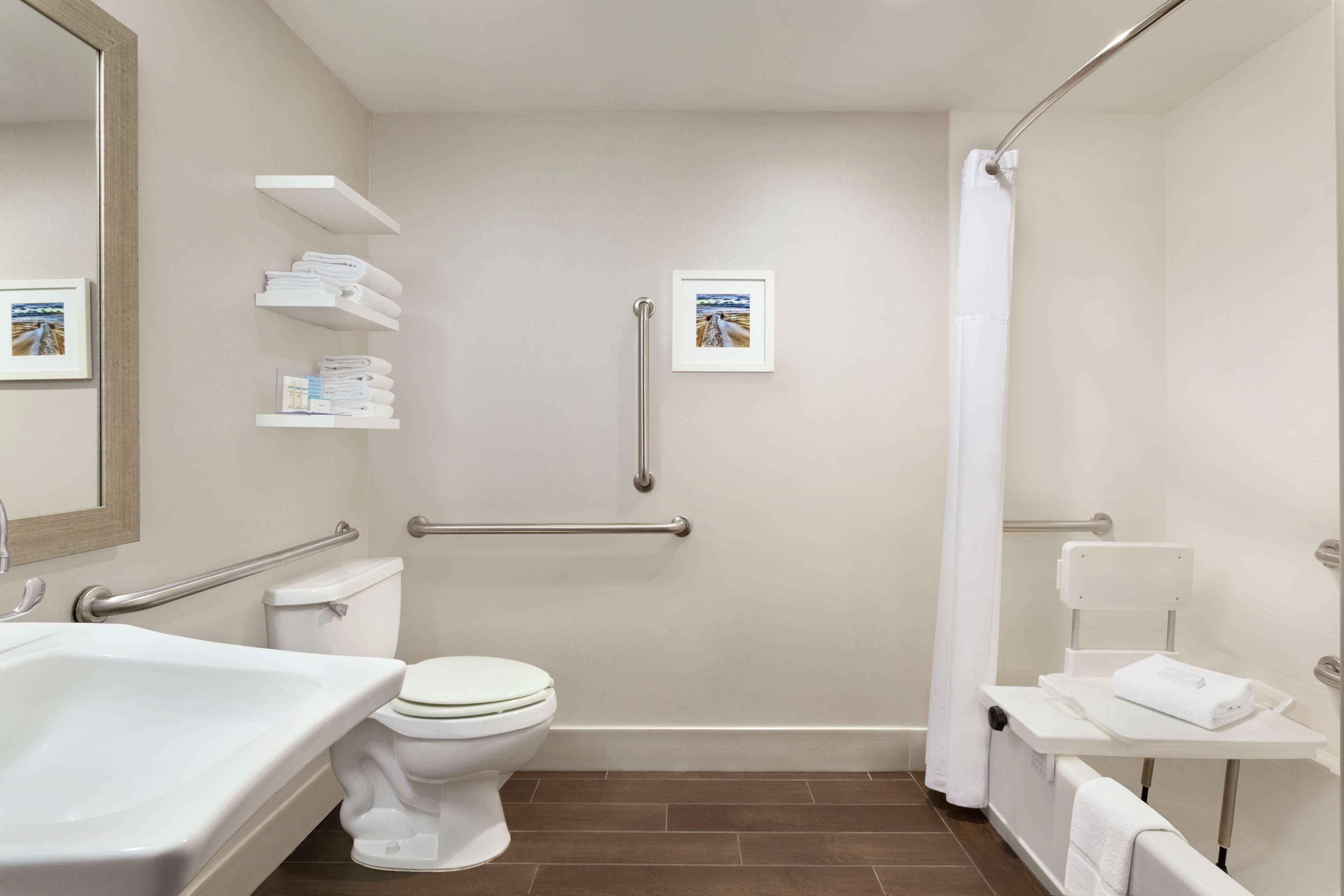 room, 1 king bed, accessible, bathtub | bathroom | combined shower/bathtub, free toiletries, hair dryer, towels