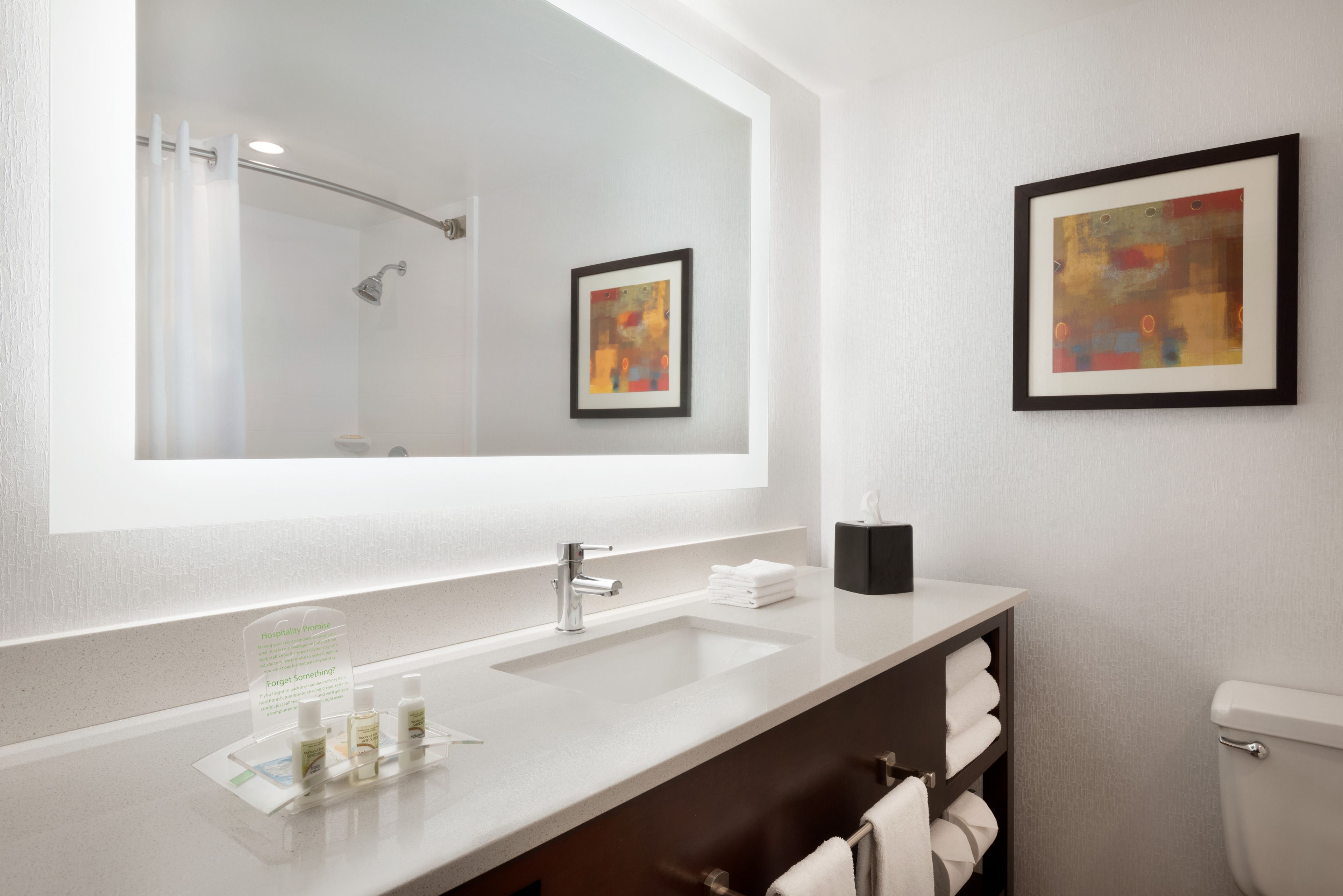 combined shower/bathtub, free toiletries, hair dryer, towels