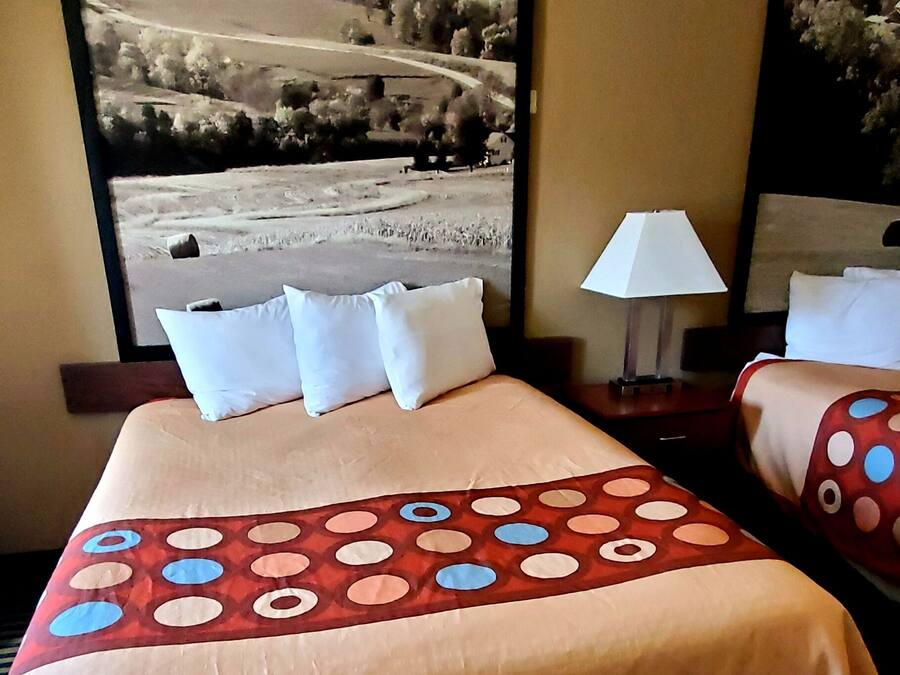 A hotel room with a large bed, two pillows, a nightstand with a lamp, and a large window with a black and white landscape view.
