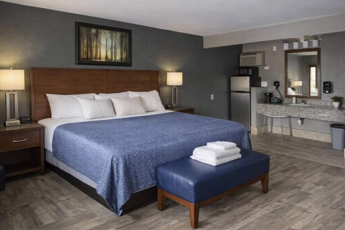 Quarto, 1 cama King, acessível, para não fumantes | Escrivaninha, cortinas blackout, ferros/tábuas de passar roupa