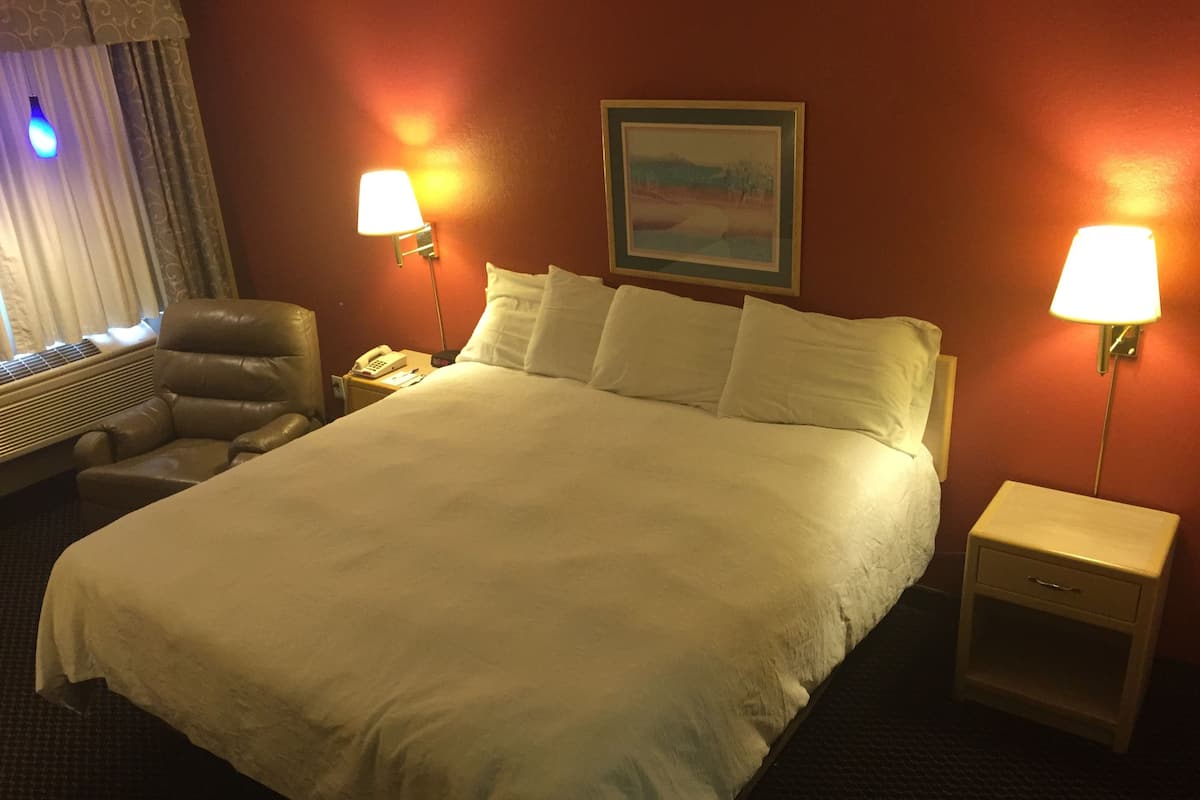 Room, 1 King Bed, Non Smoking | Blackout drapes, WiFi (free), alarm clocks, bed sheets