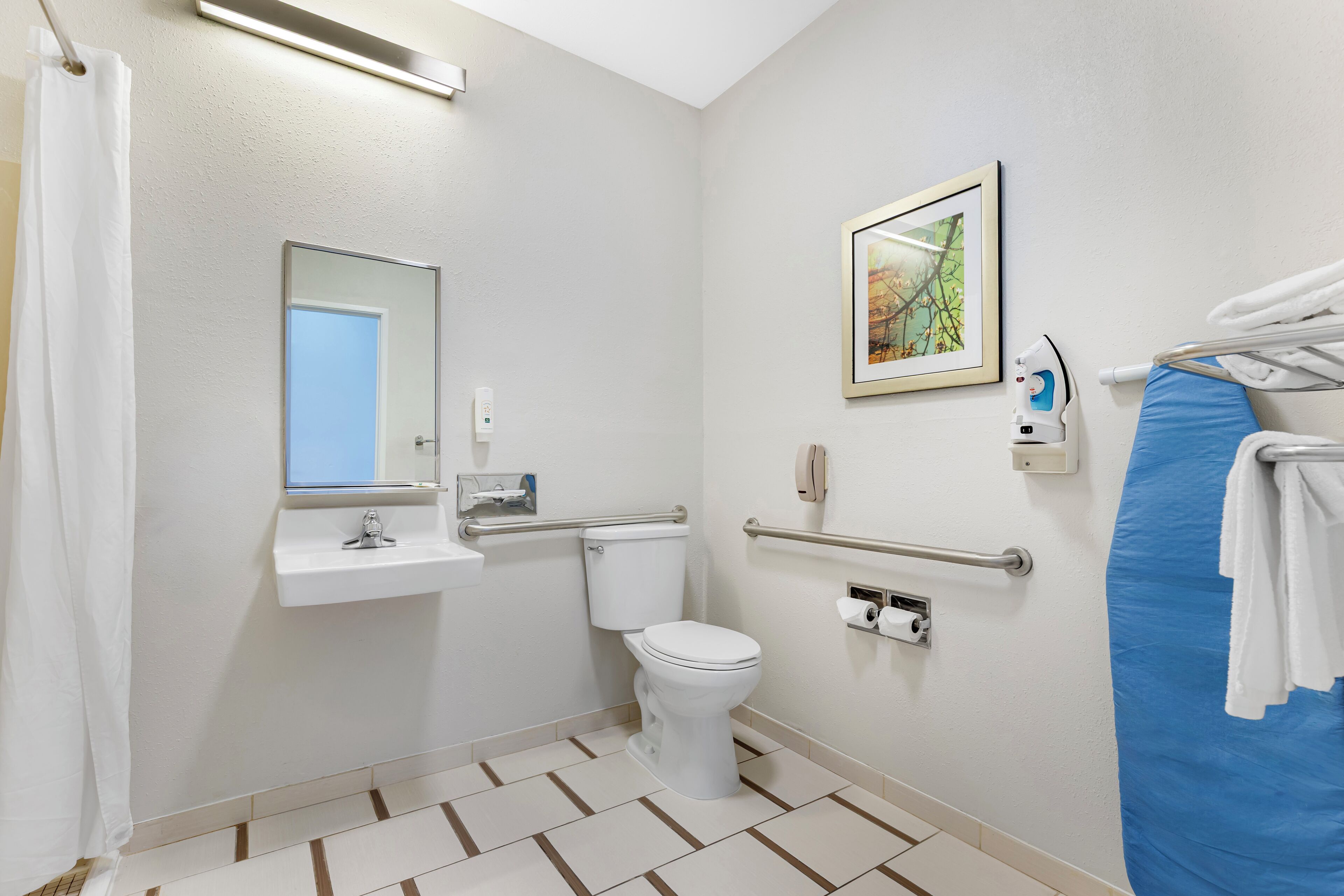 room, 1 king bed, accessible, non smoking (roll-in shower) | bathroom | combined shower/bathtub, free toiletries, hair dryer, towels