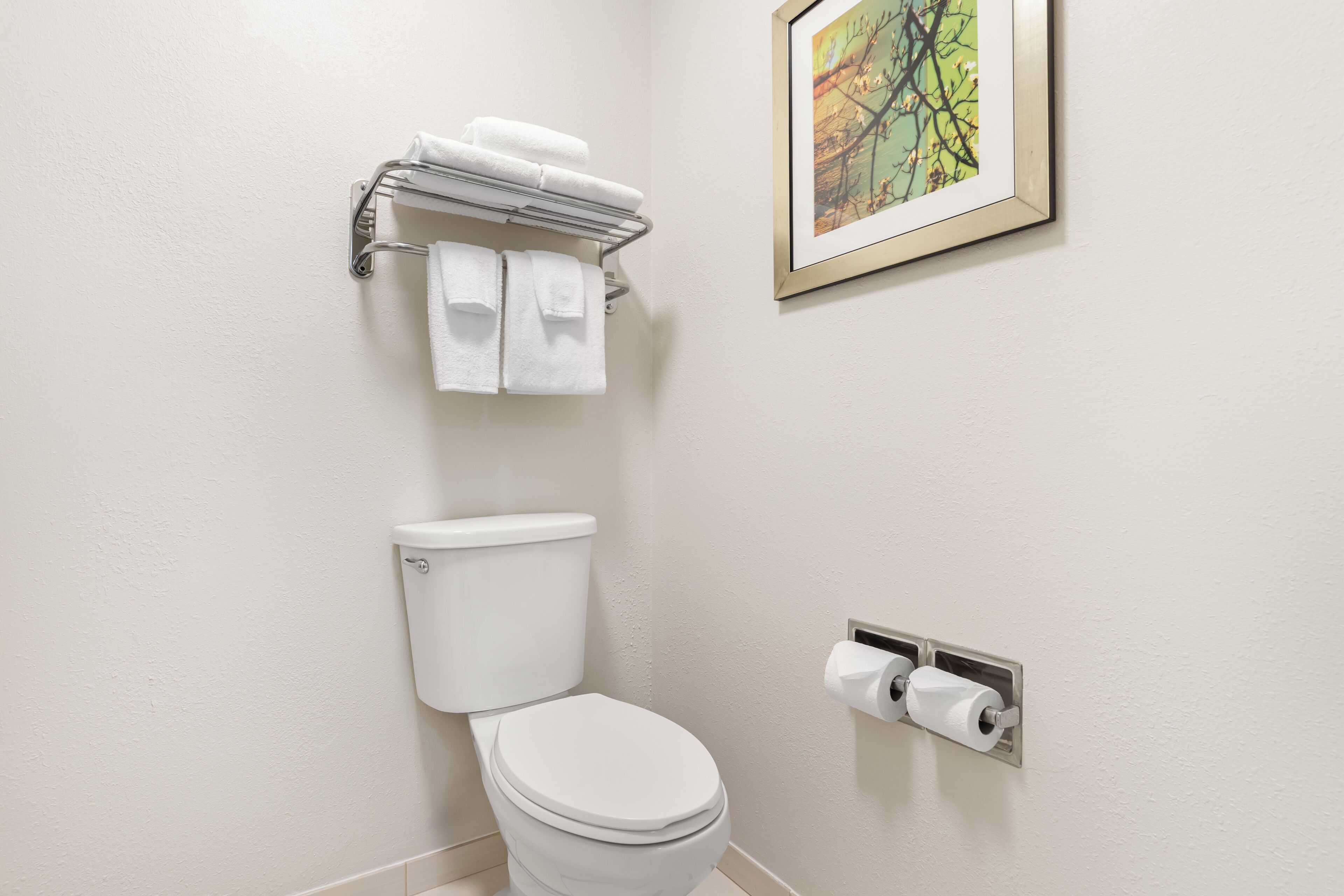 combined shower/bathtub, free toiletries, hair dryer, towels