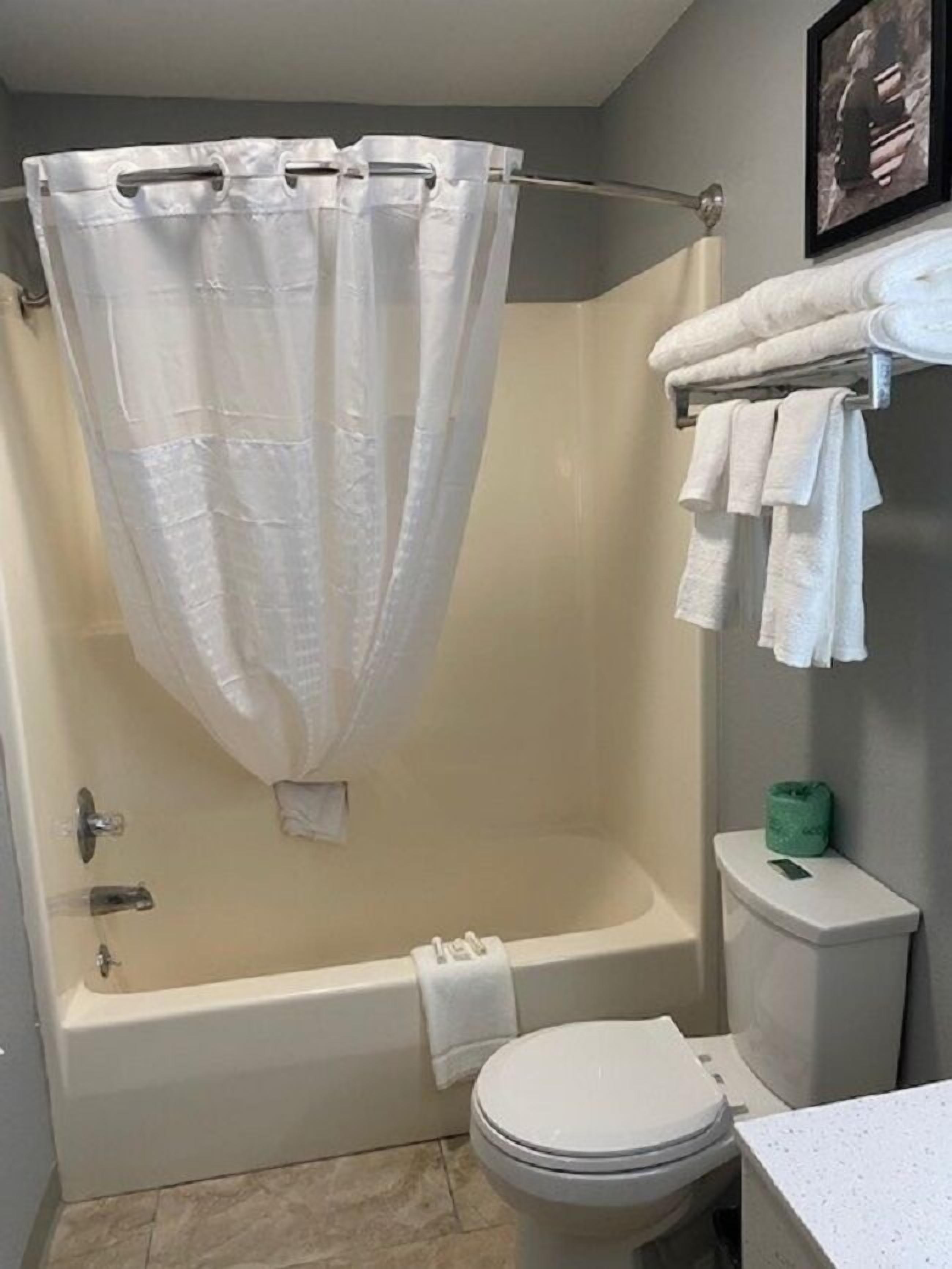 A bathroom with a bathtub, toilet, and a shower curtain.