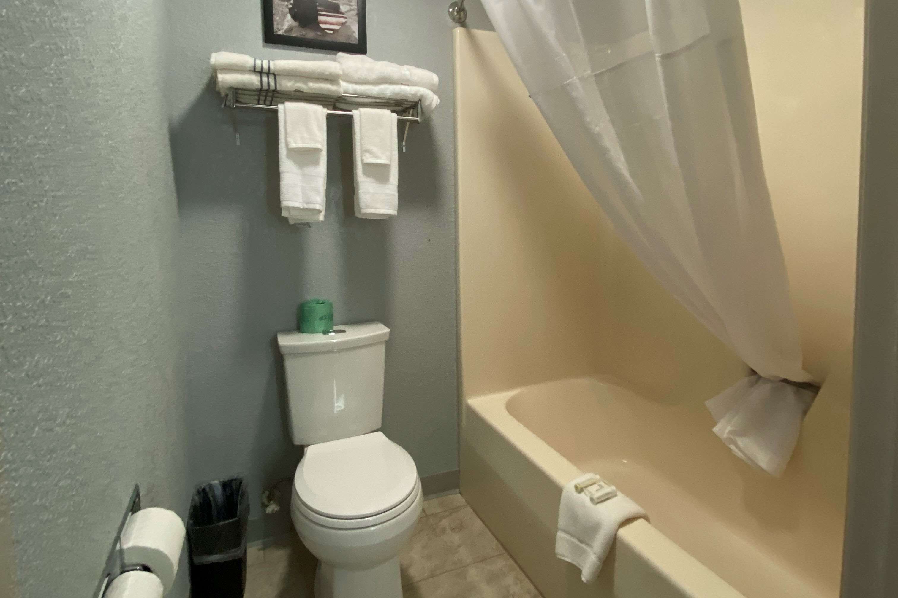 Une salle de bain comprenant des toilettes, une baignoire avec un rideau de douche et un porte-serviettes avec des serviettes.