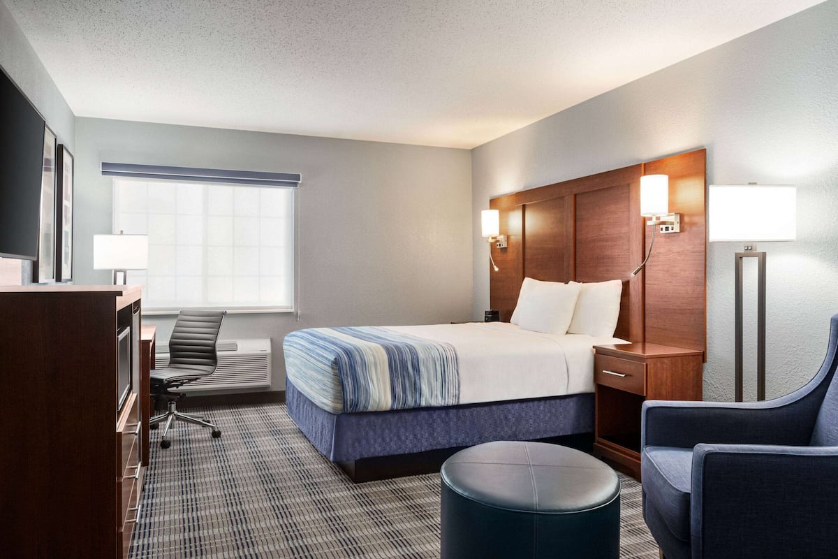 A hotel room with a bed, a desk, a chair, a nightstand, and a lamp.
