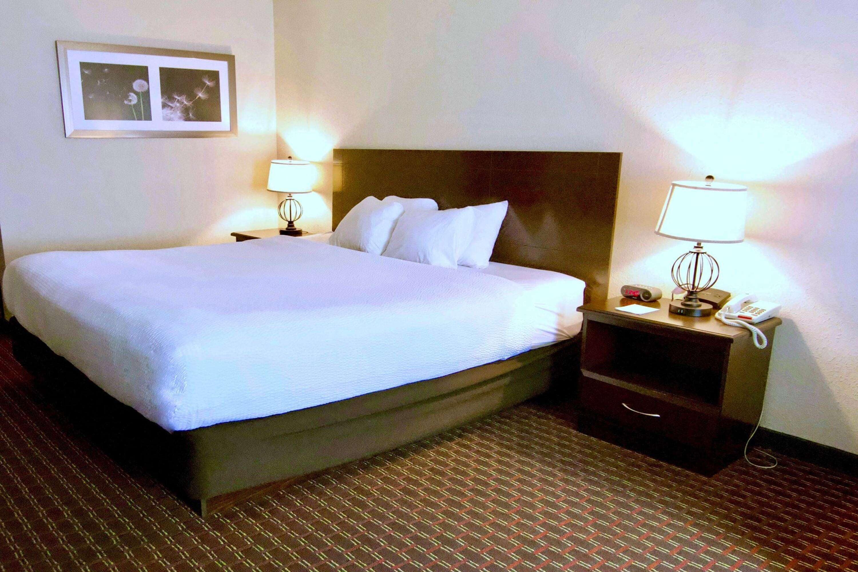 Habitación de hotel con una cama grande, dos mesitas de noche con lámparas, un cuadro enmarcado en la pared y una alfombra estampada.