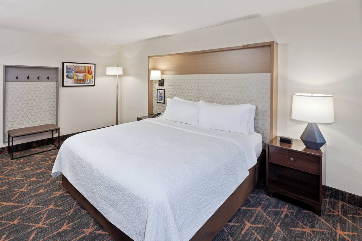 A hotel room with a large bed, a bedside table with a lamp, a bench, and a wall-mounted coat rack.