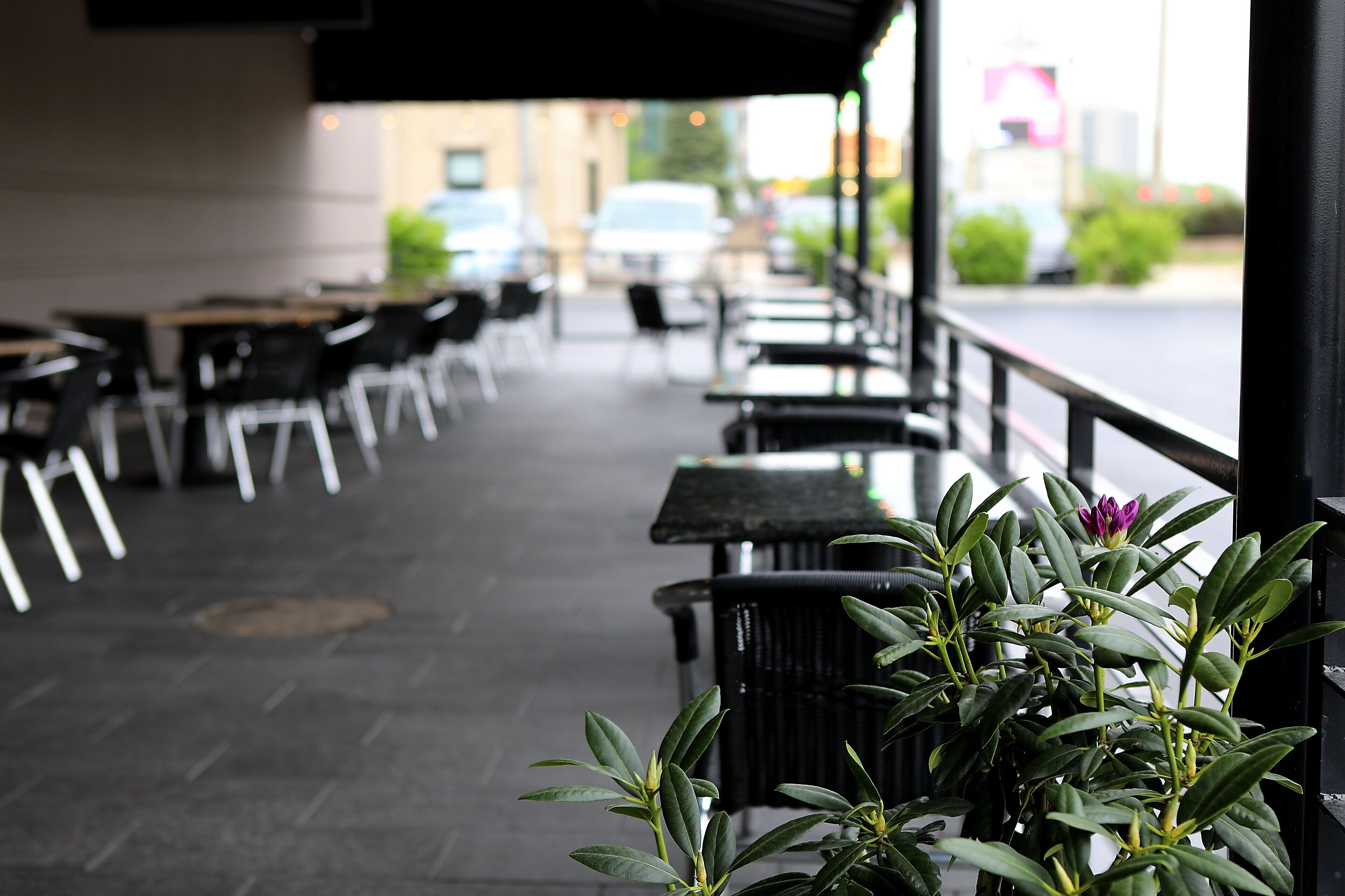 An outdoor seating area with tables and chairs, a potted plant in the foreground, and a view of the street in the background.