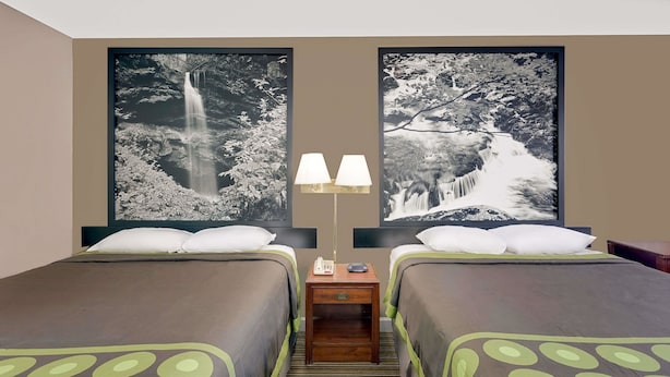 Une chambre d’hôtel avec deux lits, une table de chevet avec une lampe, et deux grandes peintures représentant des cascades, en noir et blanc, accrochées aux murs.