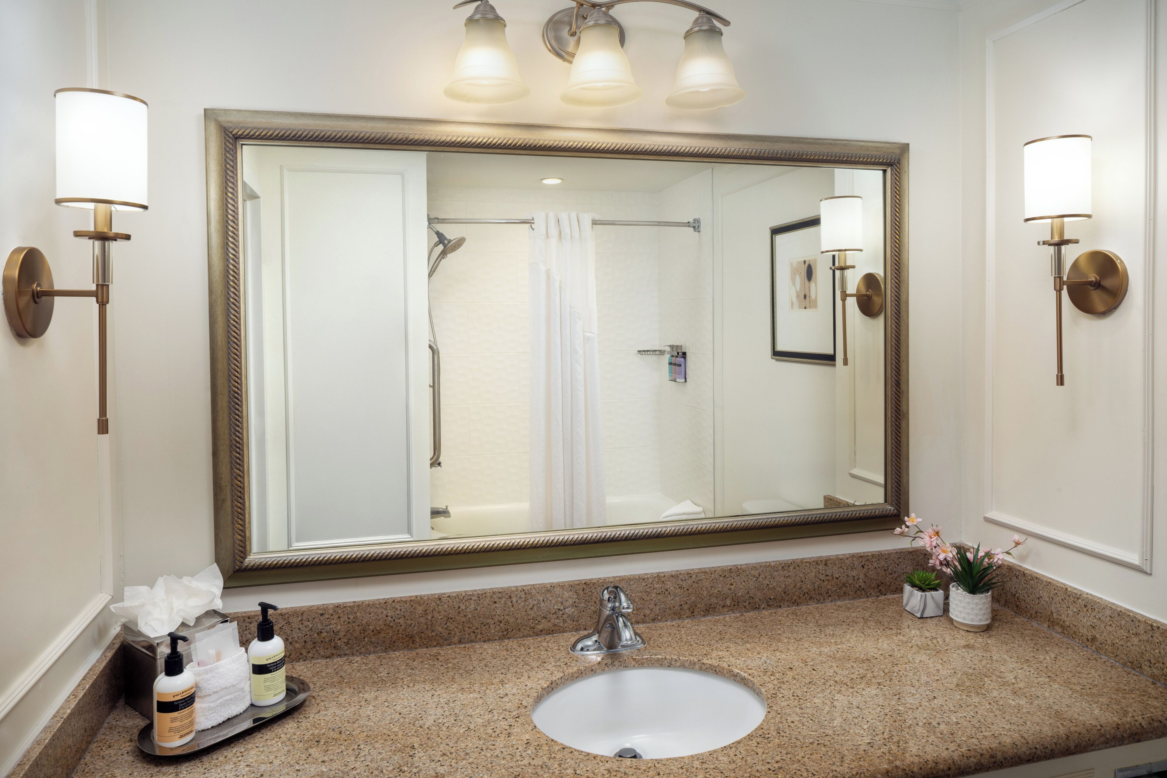 combined shower/bathtub, free toiletries, hair dryer, towels