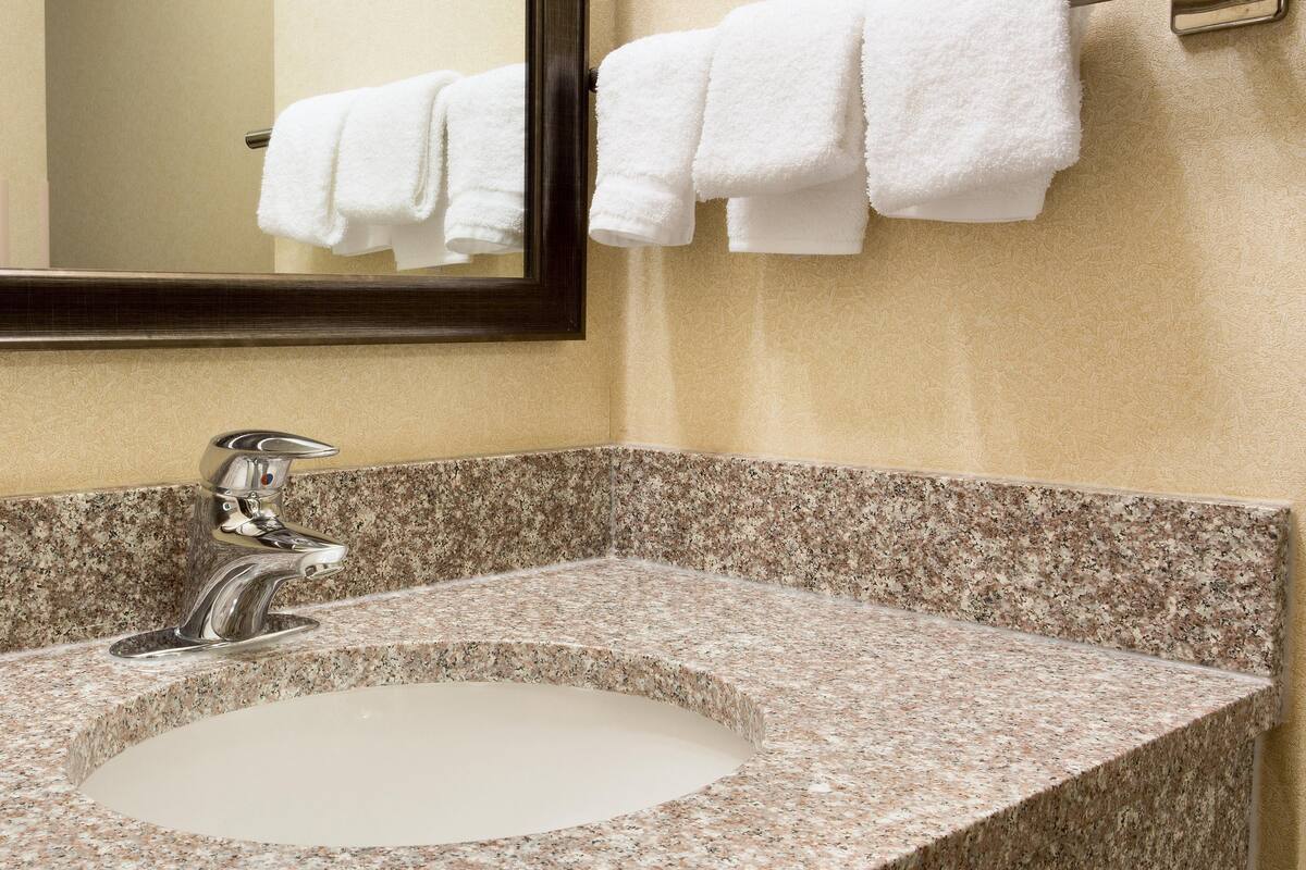 combined shower/bathtub, free toiletries, hair dryer, towels