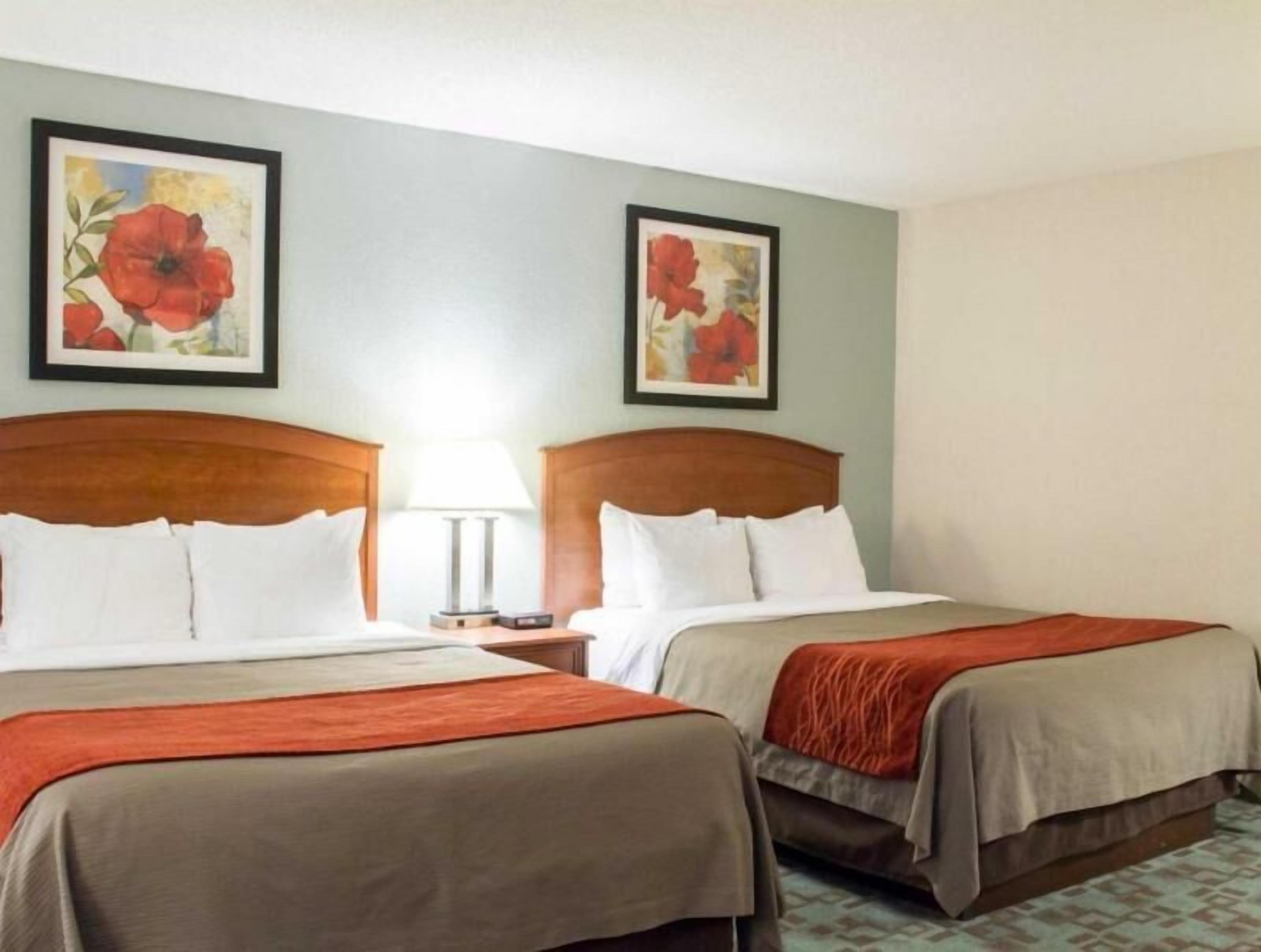 Premium bedding, desk, blackout curtains, iron/ironing board