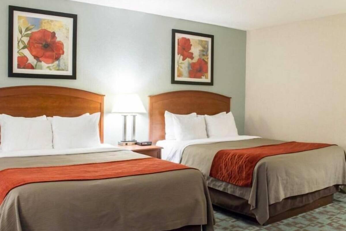 Premium bedding, desk, blackout drapes, iron/ironing board