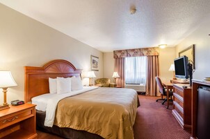 Standard Room, 1 King Bed, Non Smoking | Desk, laptop workspace, blackout drapes, iron/ironing board