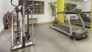 A gym with exercise equipment, a treadmill, and a potted plant.