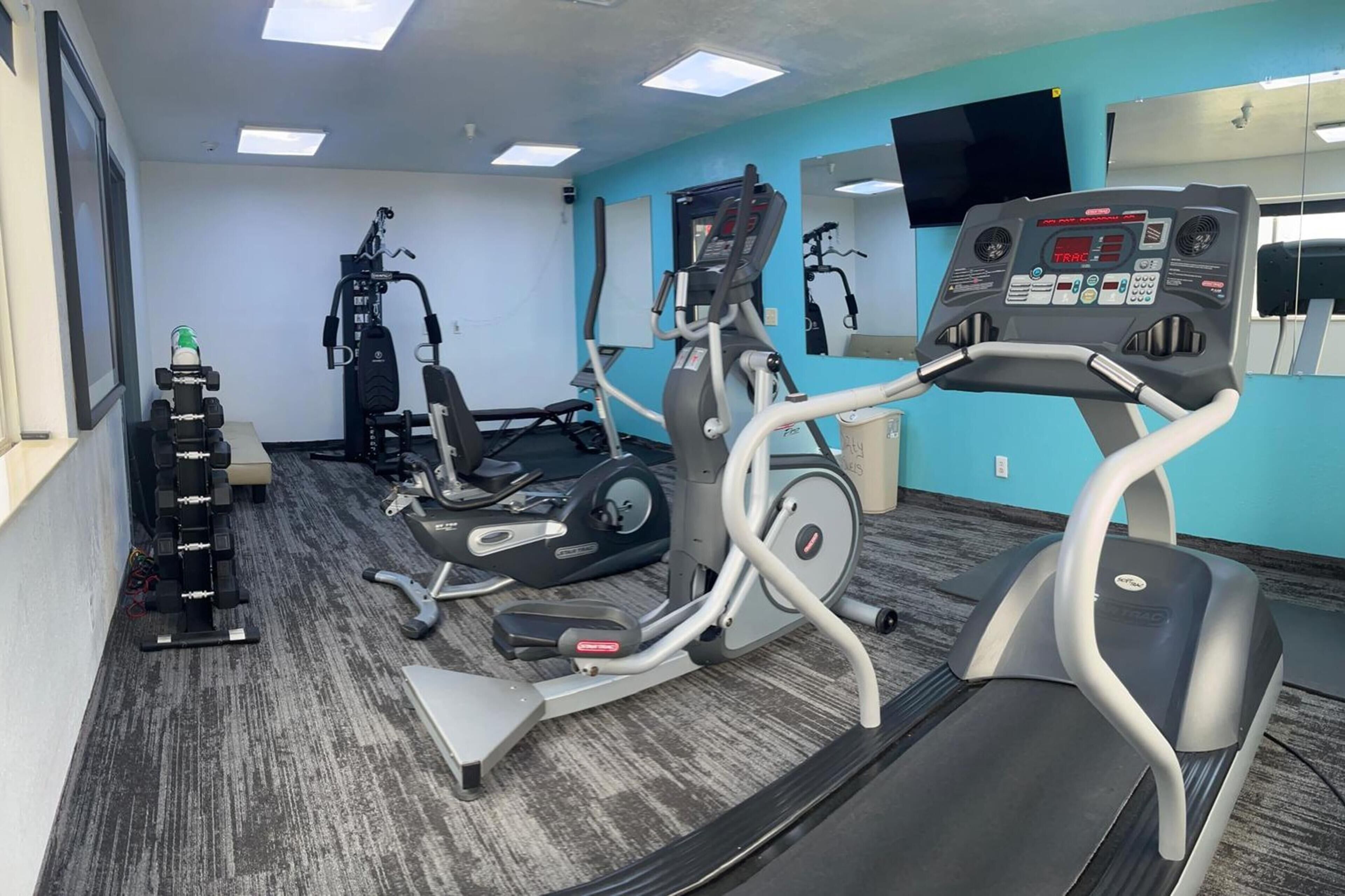 A gym with treadmills, elliptical machines, and free weights.
