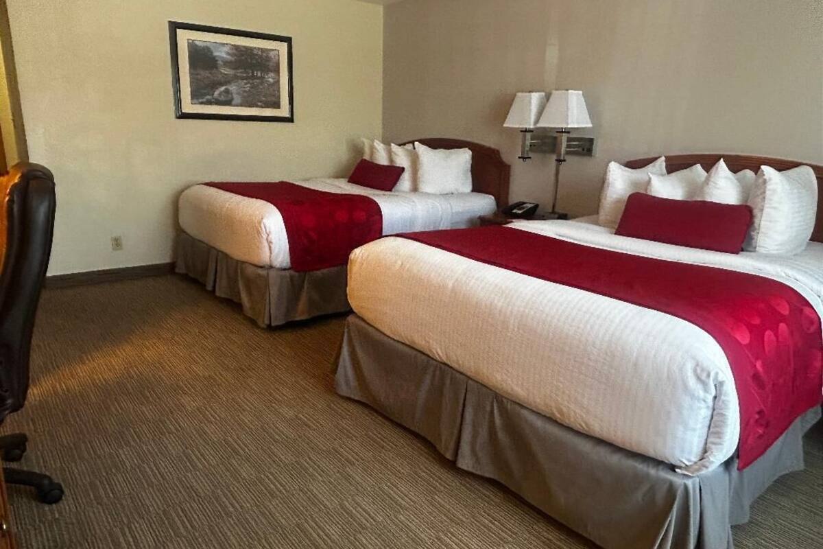 Une chambre d’hôtel avec deux lits, chacun recouvert d’une couvre-lit rouge et blanche, doté d’une tête de lit en bois et agrémenté d’une table de chevet avec une lampe.