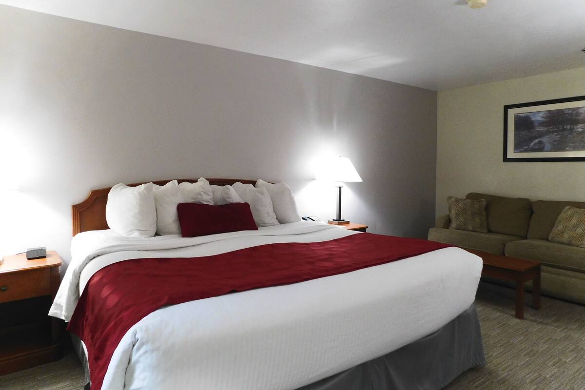 Une chambre d’hôtel avec un grand lit, une table de chevet, une lampe, un canapé et un tableau encadré au mur.