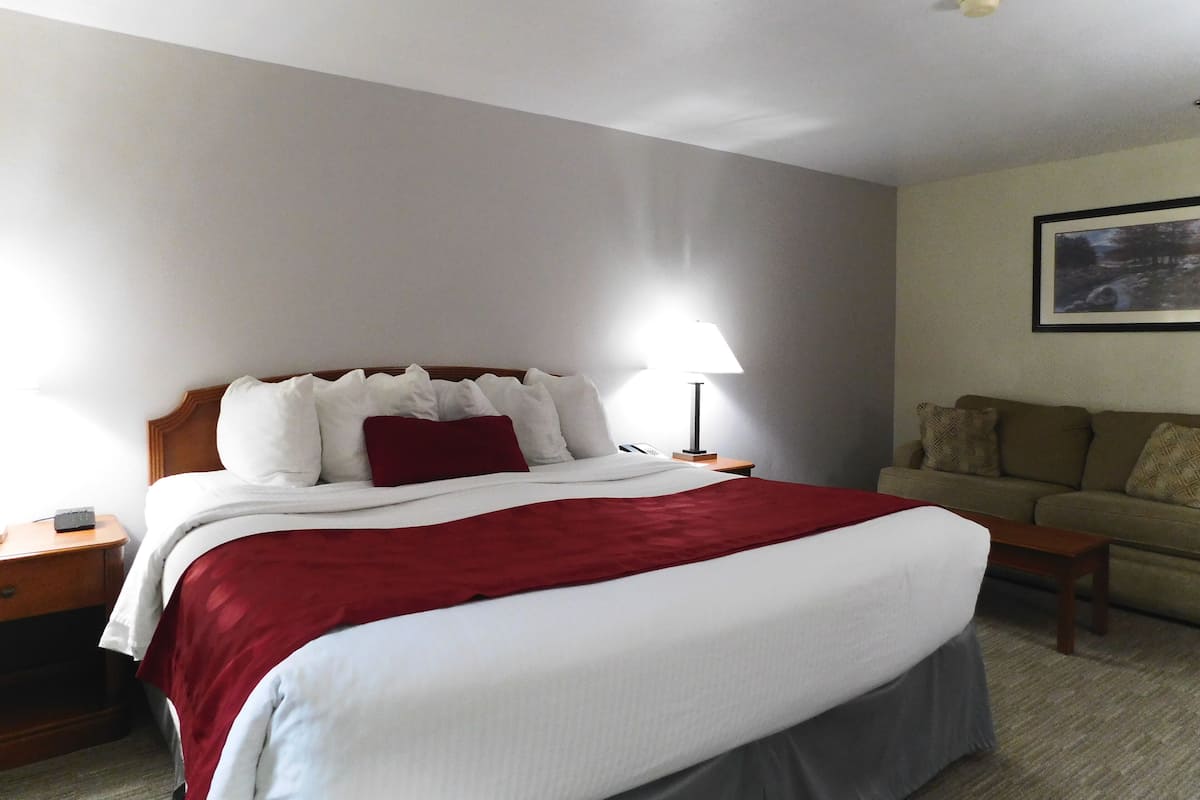 Deluxe Room, 1 King Bed with Sofa bed, Non Smoking | Premium bedding, desk, iron/ironing board, free WiFi