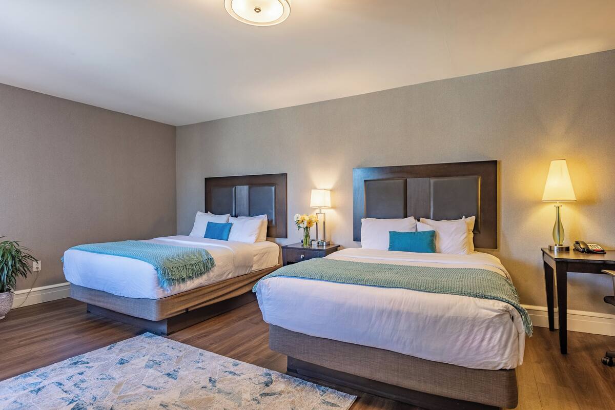 A hotel room with two beds, a small table, a lamp, and a plant.