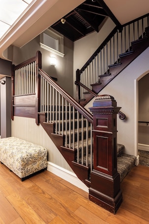 A wooden staircase with a handrail, carpeted steps, and a bench at the bottom.