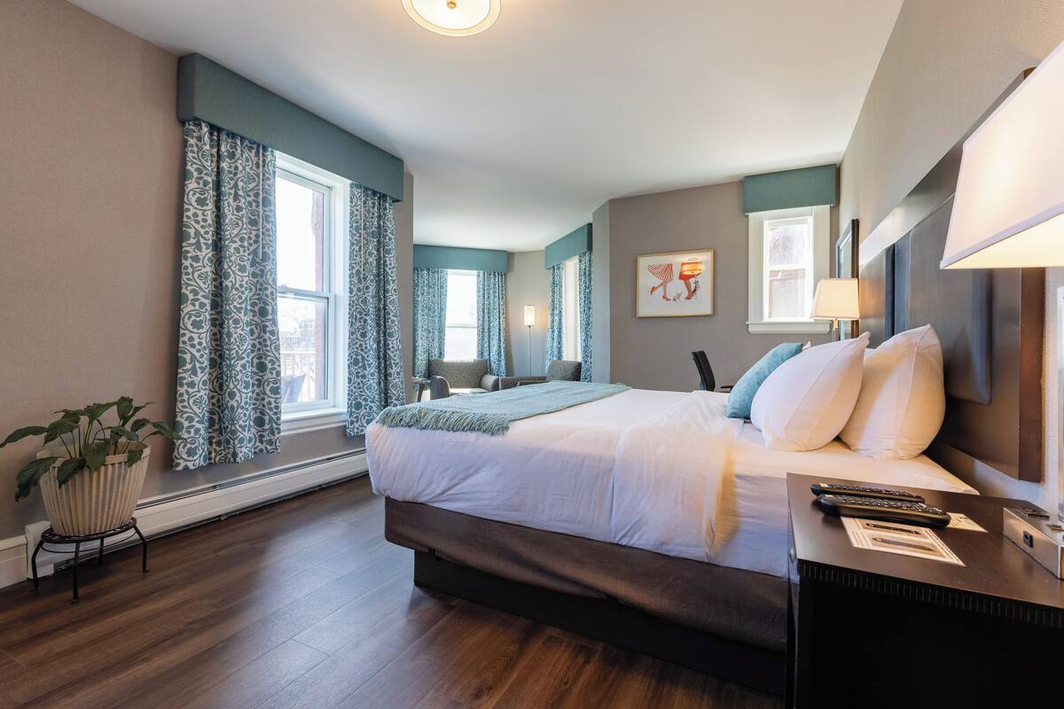 A modern hotel room with a large bed, a bedside table with a lamp, a potted plant, and a view of the city through the window.