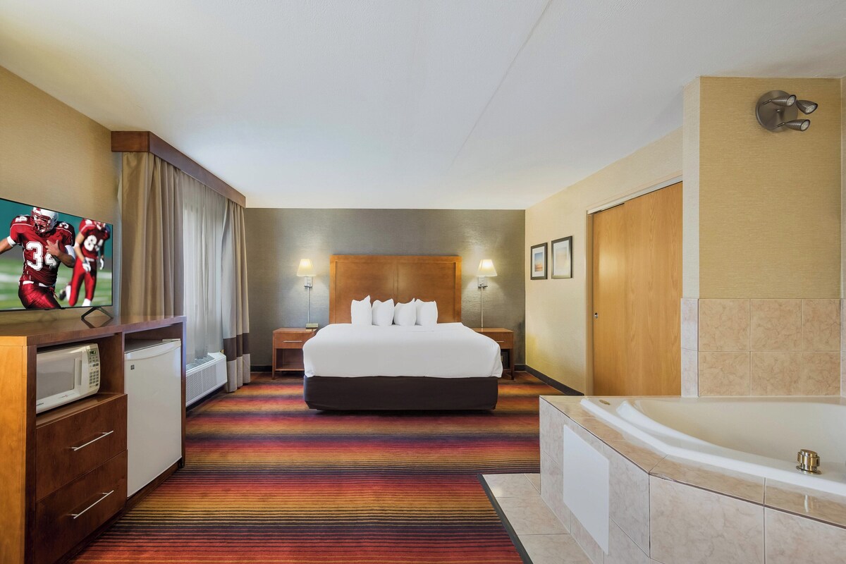 A hotel room with a large bed, a TV, a microwave, a mini-fridge, a bathroom with a bathtub, and a colorful striped carpet.
