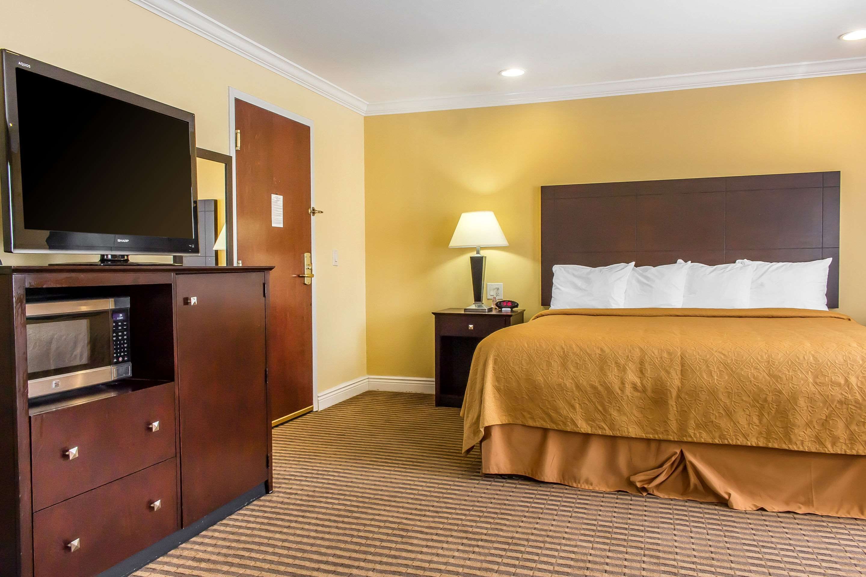 A hotel room with a bed, a television, a microwave, and a nightstand with a lamp.