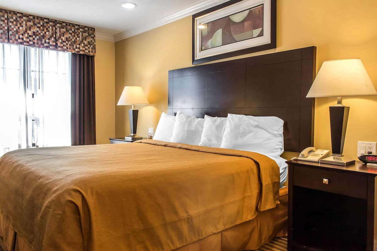 A hotel room with a large bed, two bedside lamps, a nightstand with a phone and alarm clock, and a painting on the wall.