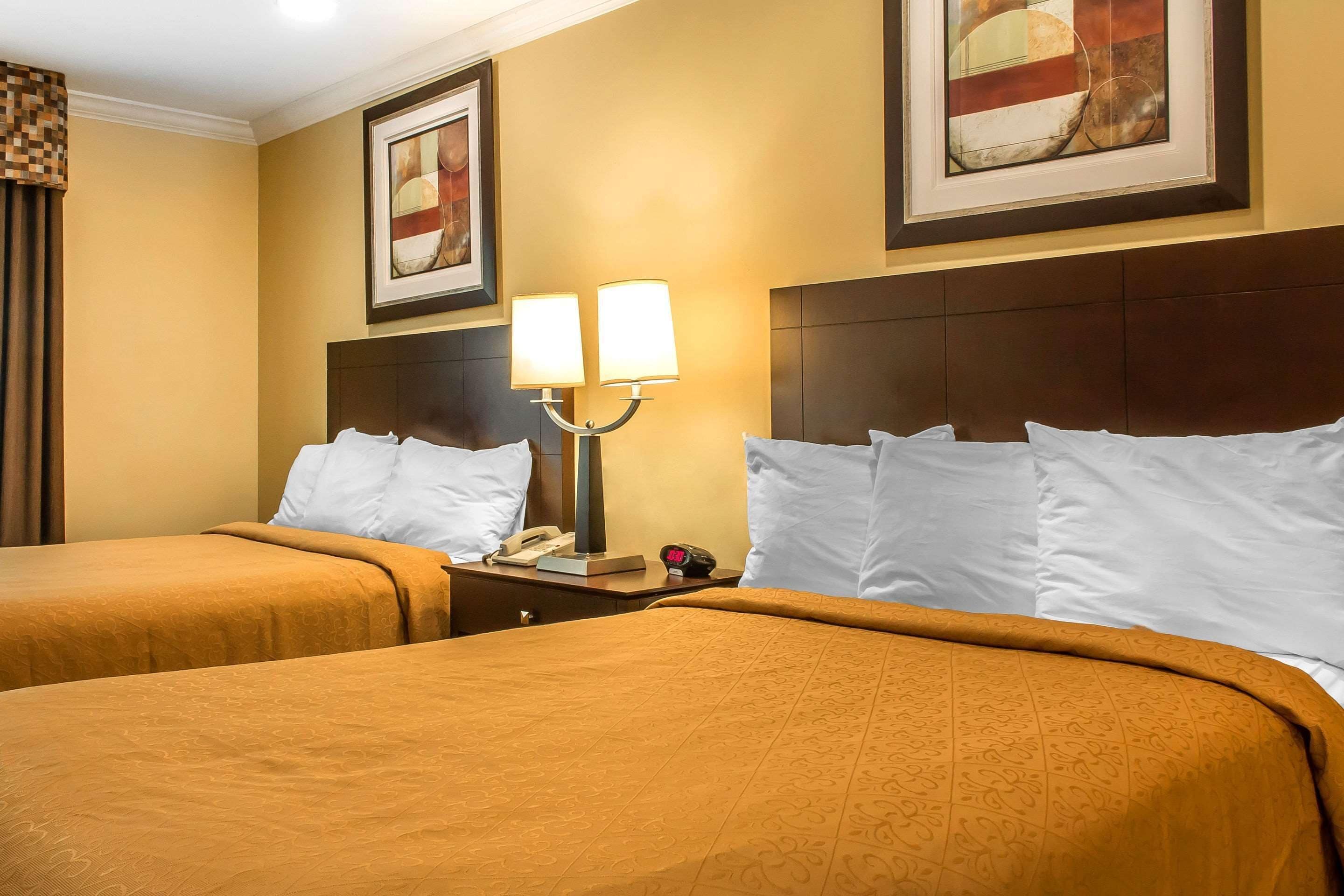 Quarto de hotel com duas camas, cada uma com colcha marrom, mesa de cabeceira com luminária e obras de arte emolduradas nas paredes.
