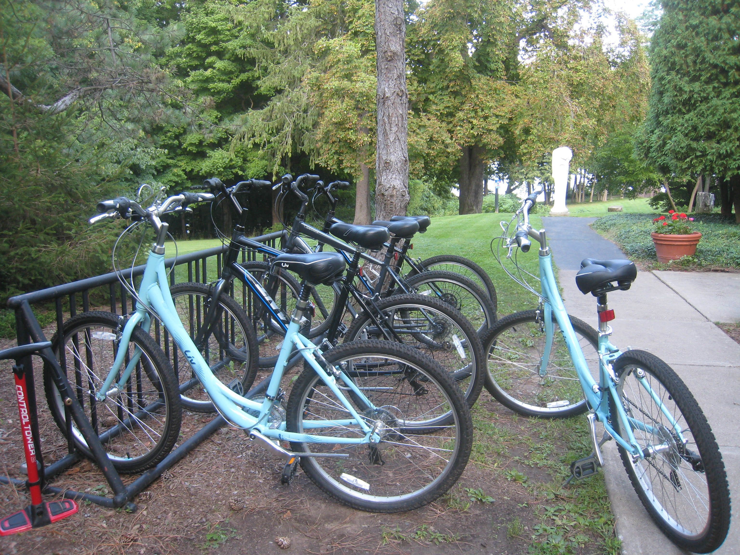 Une rangée de vélos est garée contre une barrière métallique dans un parc, avec des arbres et un sentier en arrière-plan.