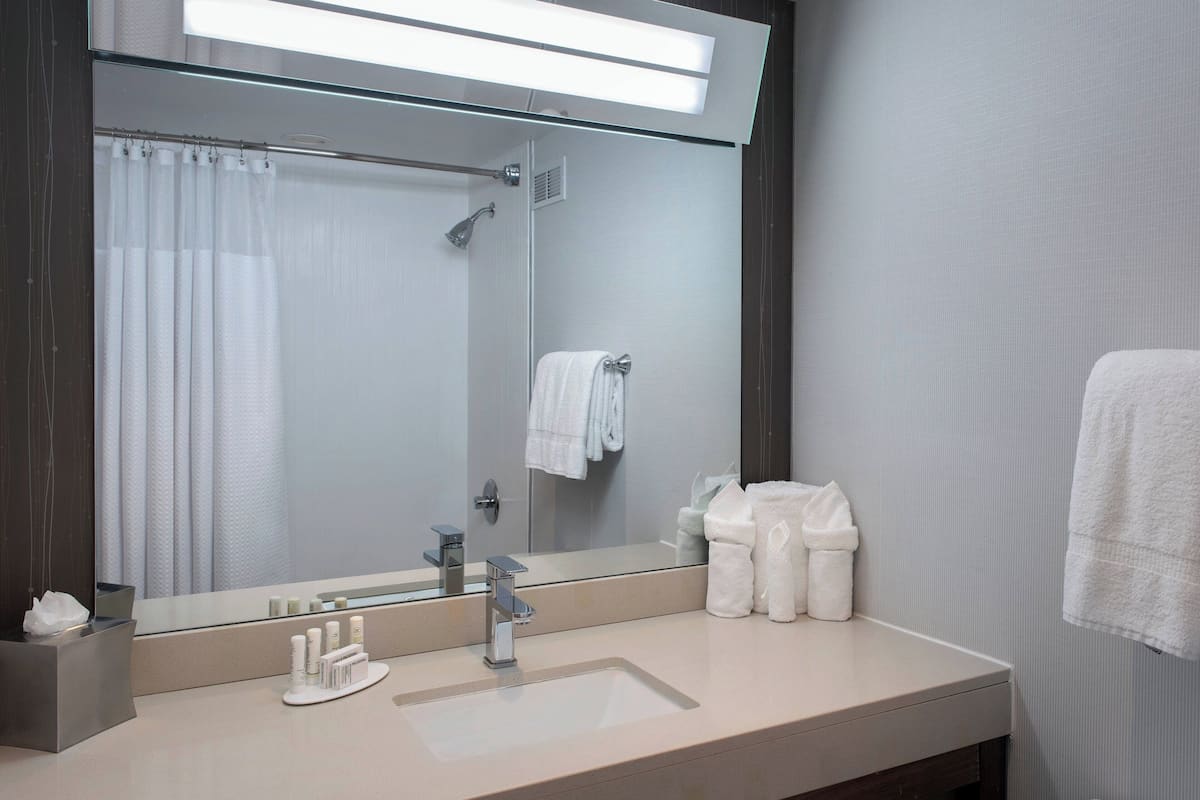 combined shower/bathtub, free toiletries, hair dryer, towels