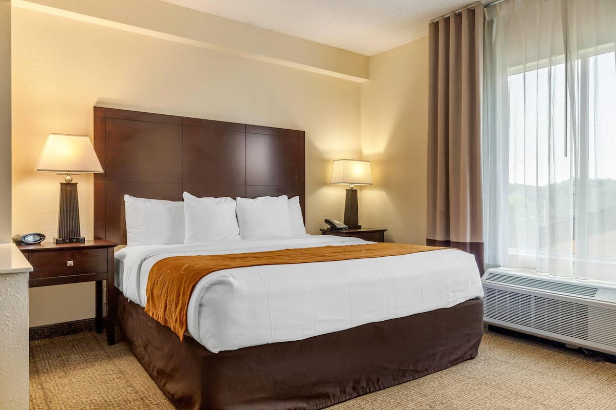 Standard Room, 1 King Bed with Sofa bed, Non Smoking | Premium bedding, desk, laptop workspace, blackout curtains