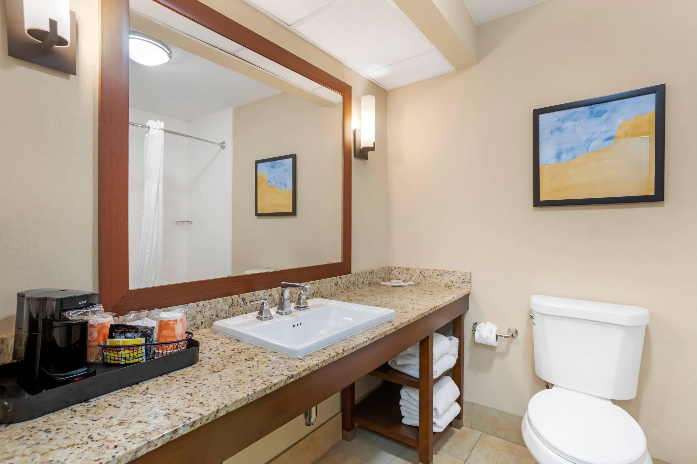 Un baño con lavamanos, espejo, inodoro y una ducha a la vista.