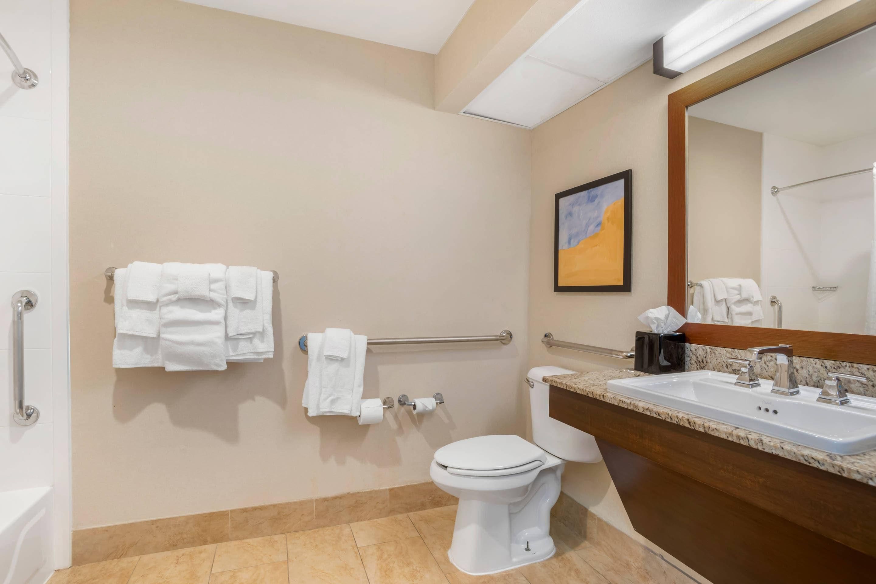 A bathroom with a toilet, sink, and handrails.
