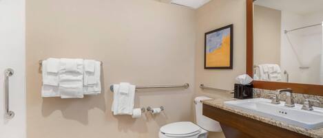A bathroom with a toilet, sink, and handrails.