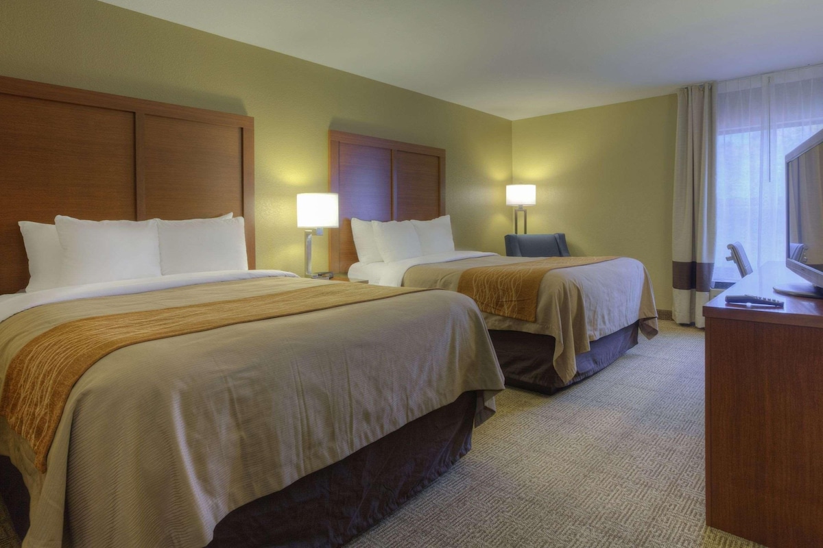 Hypo-allergenic bedding, down duvets, in-room safe, desk