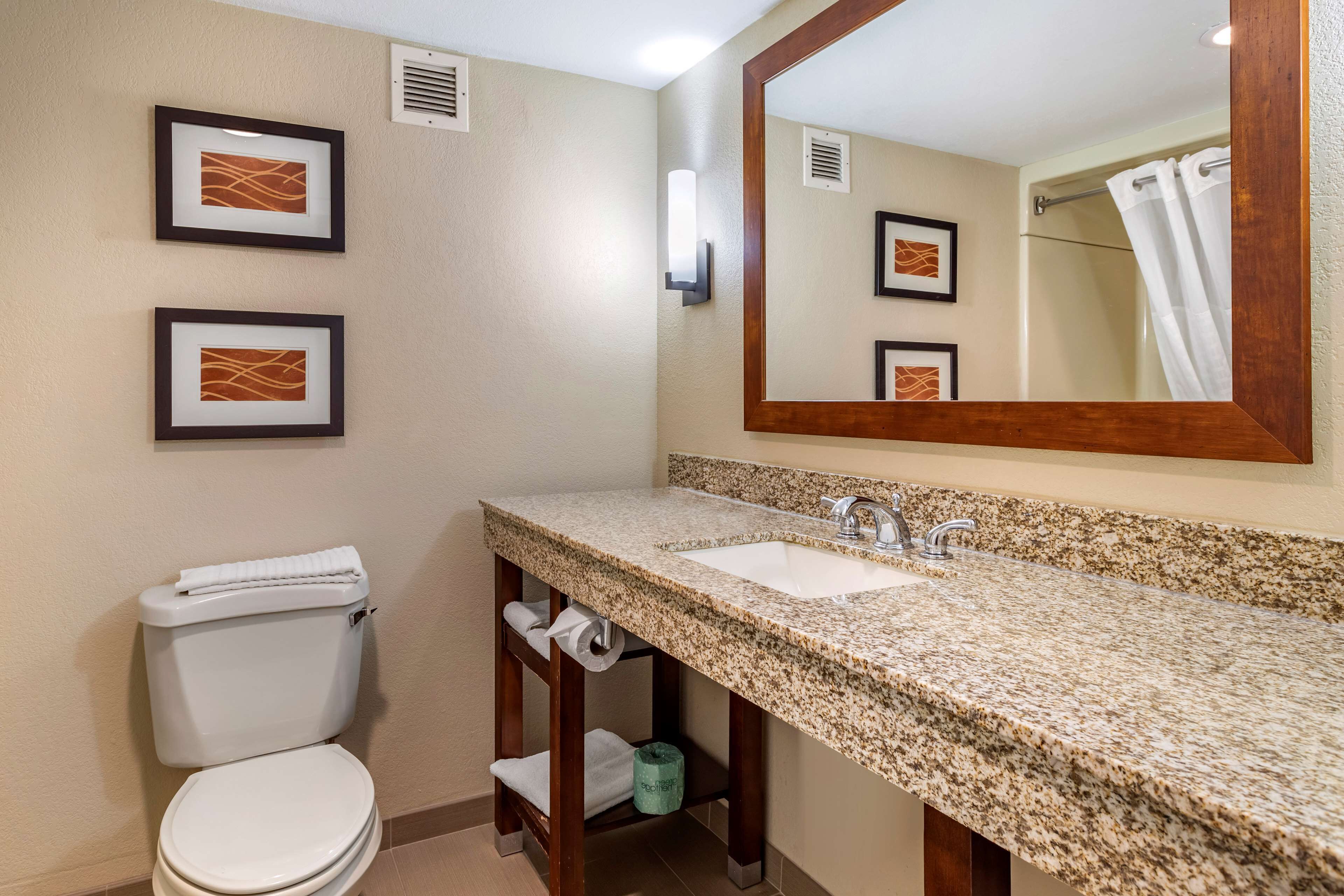 business suite, 1 king bed | bathroom | combined shower/bathtub, free toiletries, hair dryer, towels