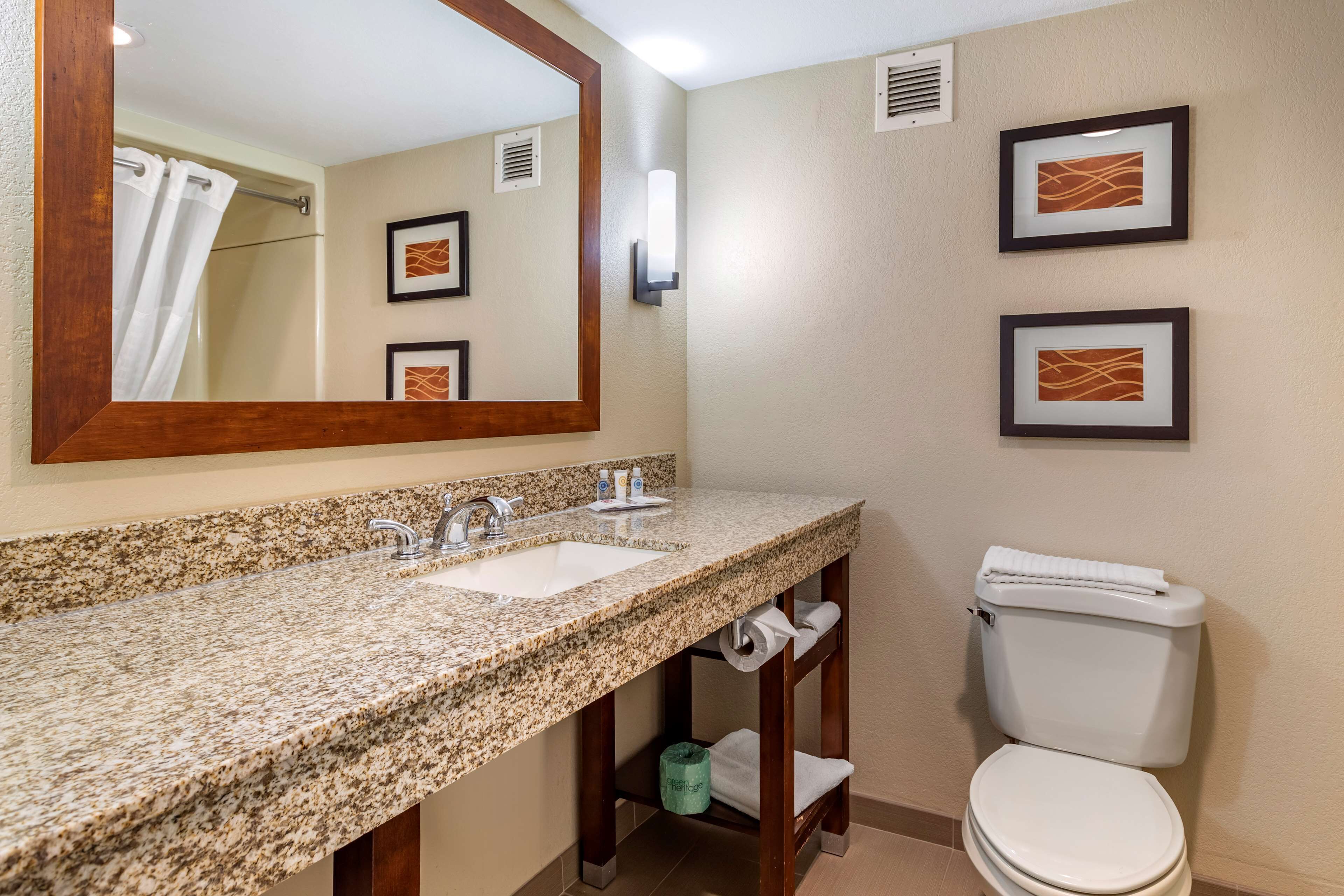 combined shower/bathtub, free toiletries, hair dryer, towels