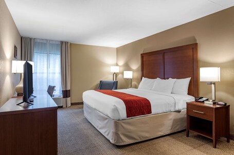 Comfort Inn Biltmore West - Image 3