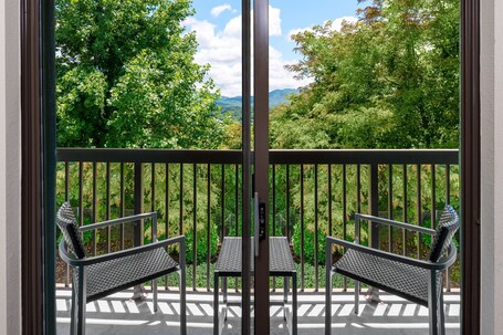 Courtyard by Marriott Asheville - Image 1