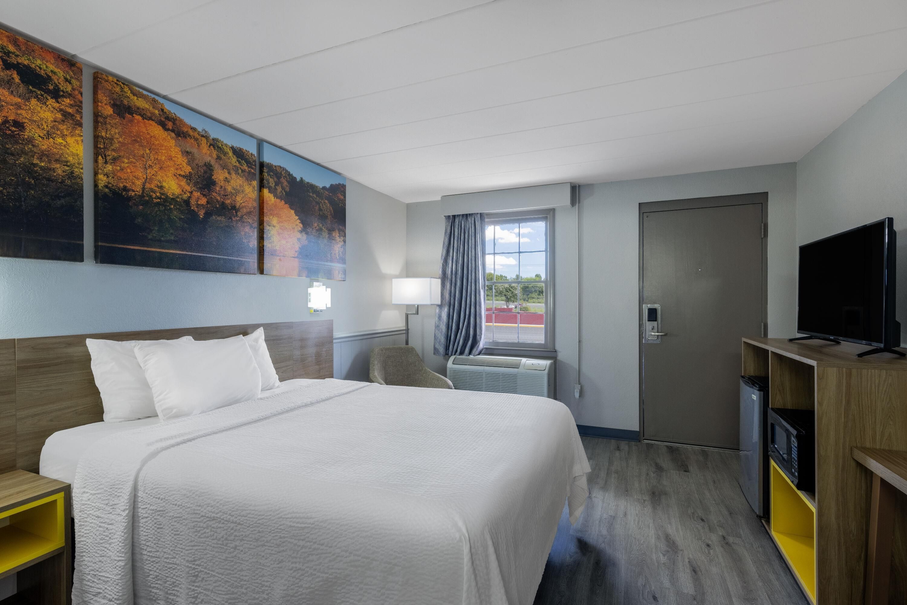 Una habitación de hotel con una cama grande, un escritorio, un televisor y un cuadro de un paisaje.
