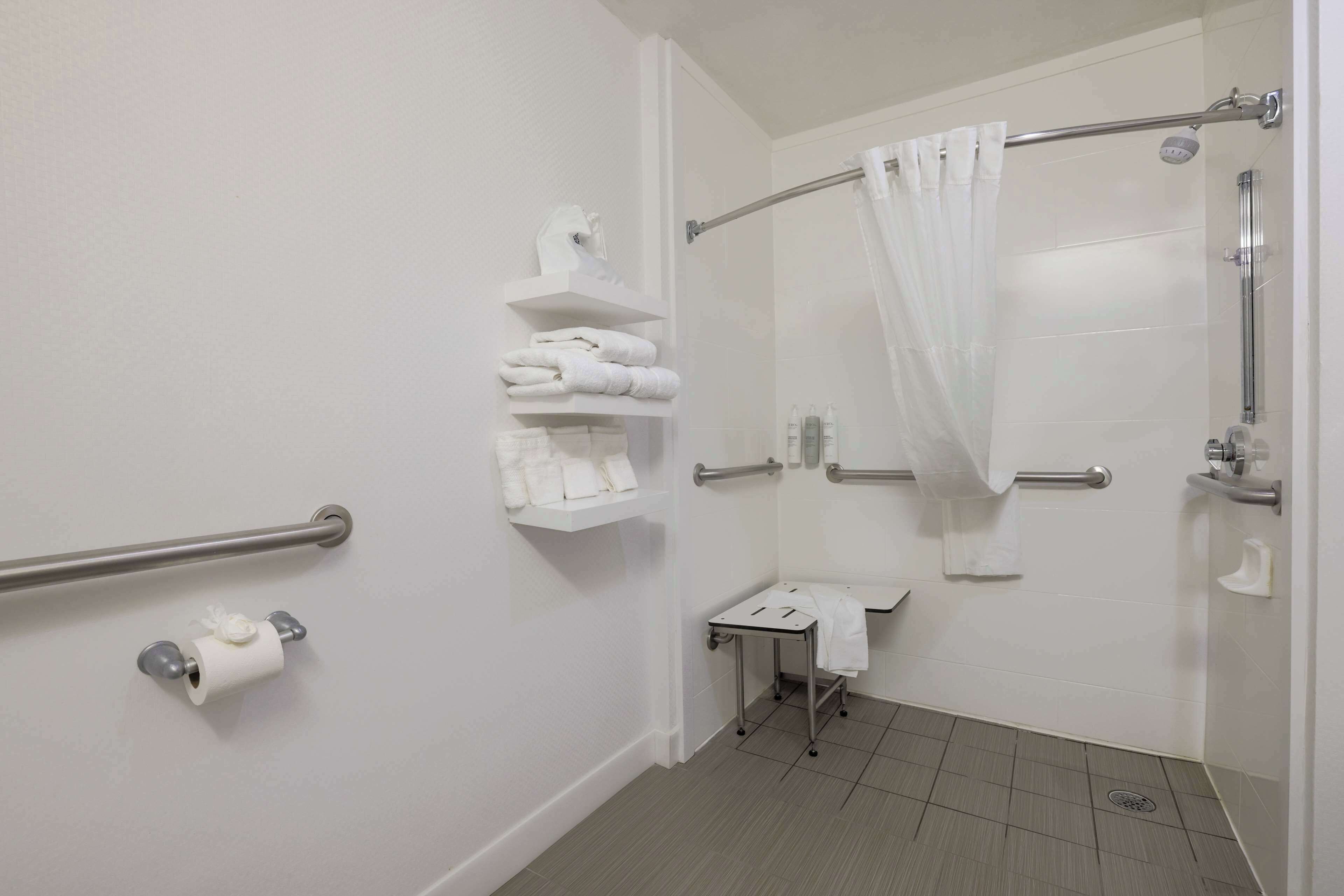 room, 1 king bed, accessible, non smoking | bathroom shower