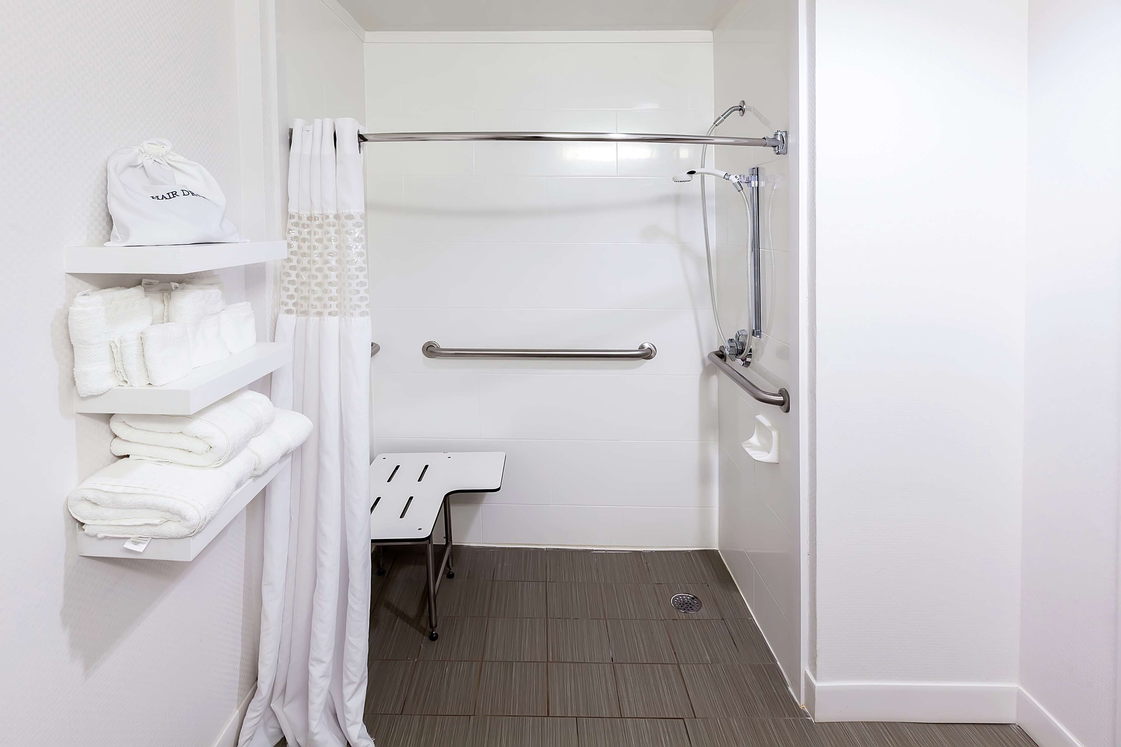 room, 1 king bed, accessible, non smoking | bathroom shower