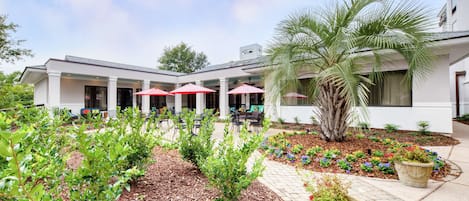 A building with outdoor seating, a palm tree, and a garden with various plants.