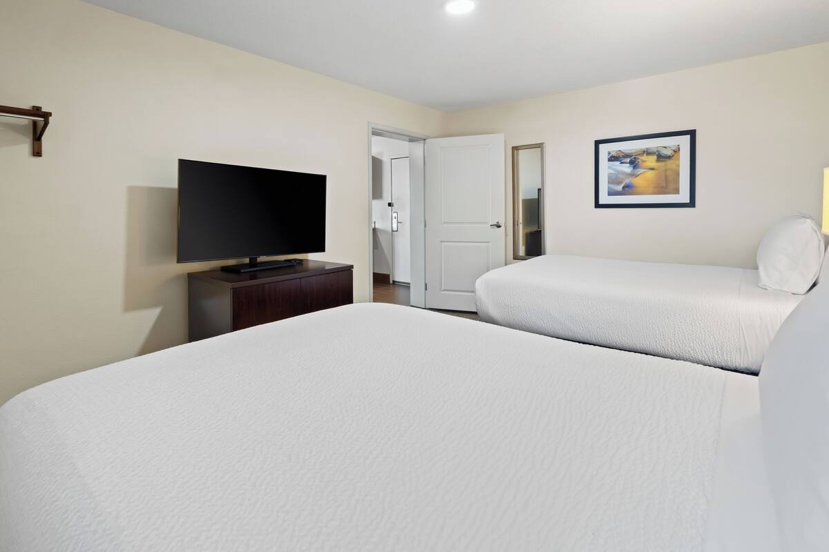 A hotel room with two beds, a TV, a door, and a framed picture on the wall.