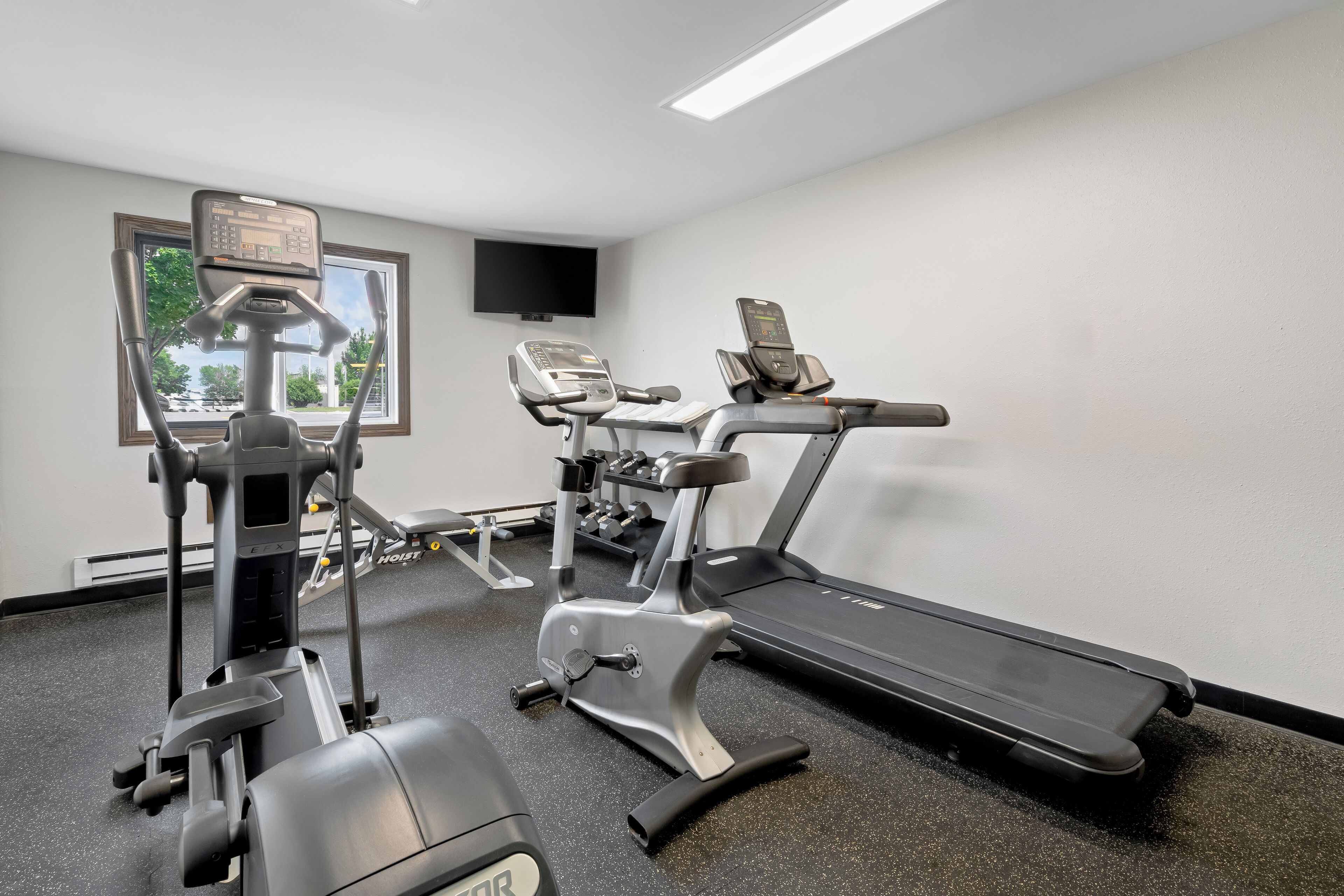 Area fitness