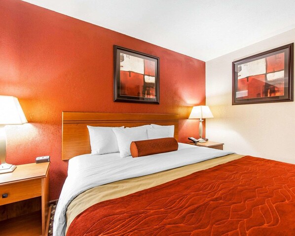 Room, 1 King Bed, Accessible, Non Smoking
